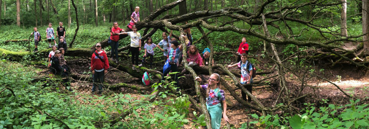 Children pose in front of a tree at the NIU Lorado Taft Field Campus